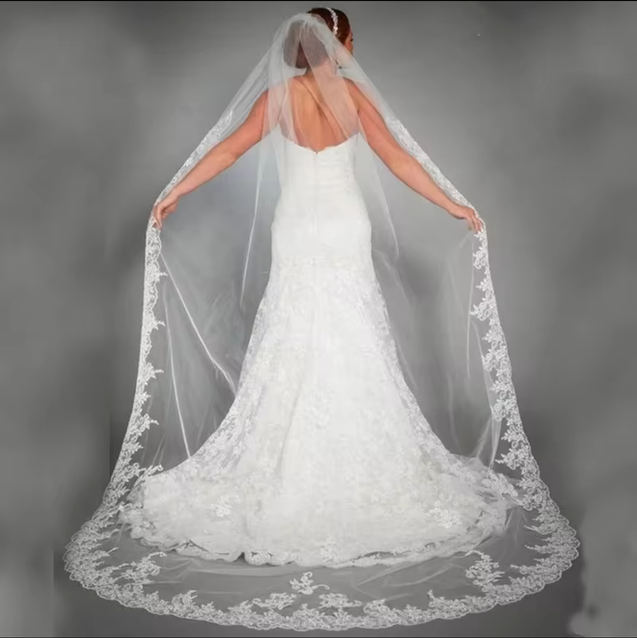 Long Cathedral Wedding Veil